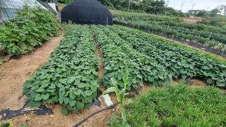 김민철 님의 자유주제 · 자유게시판 작성글 사진