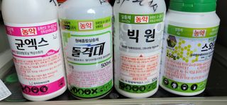 어동골님의 고추 · 영농일지 작성글 사진