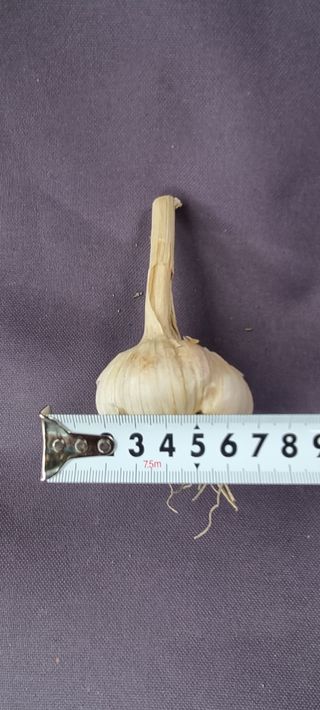 박산하님의 작성글 사진