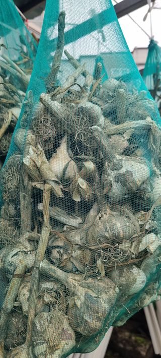 박산하님의 작성글 사진