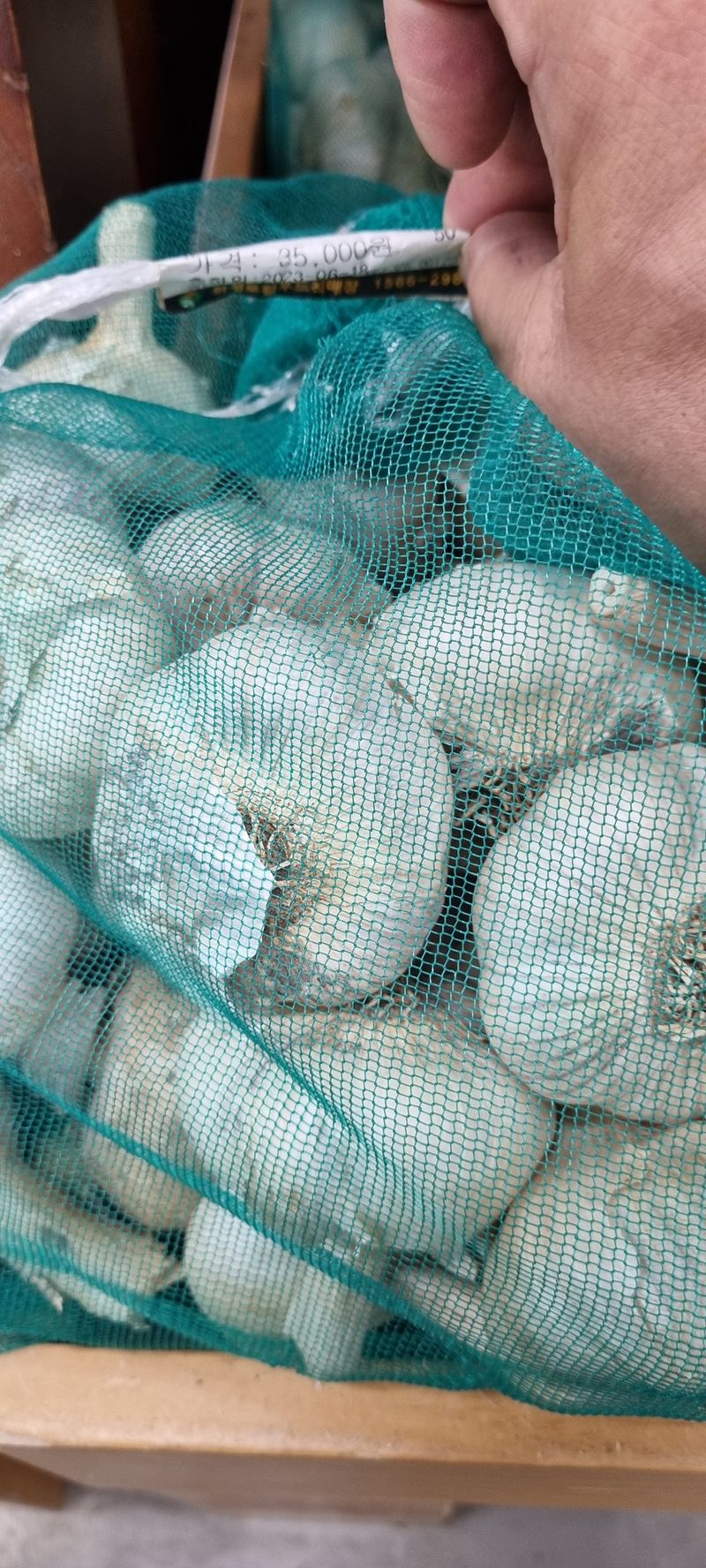 박산하님의 장터 판매 상품 [홍산마늘] 첨부 사진