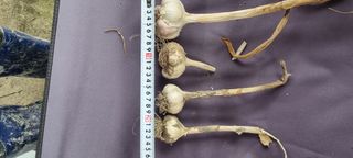 박산하님의 작성글 사진