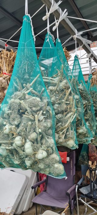 박산하님의 작성글 사진