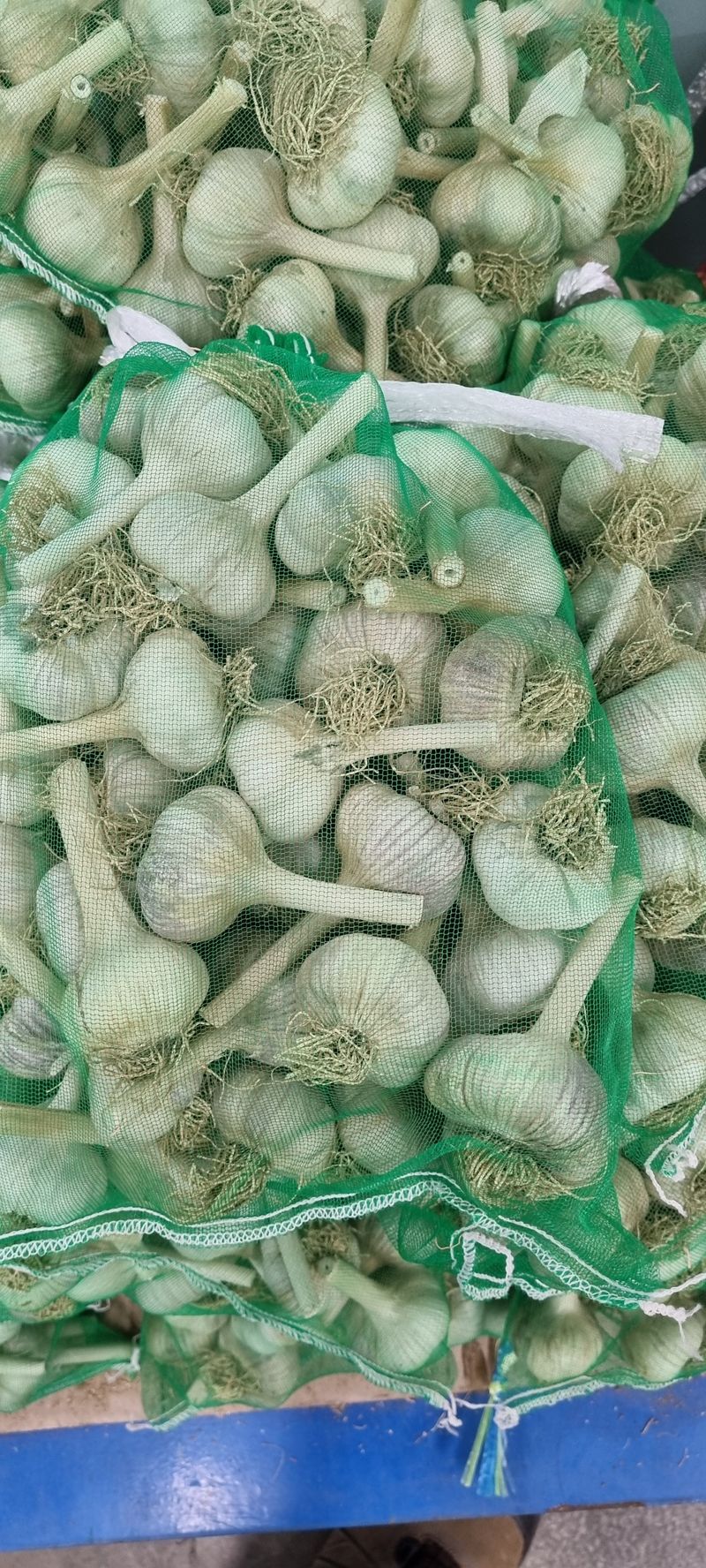 박산하님의 장터 판매 상품 [홍산마늘] 첨부 사진