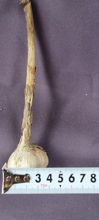 박산하님의 작성글 사진