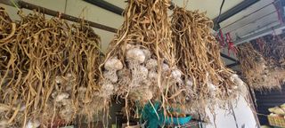 박산하님의 작성글 사진