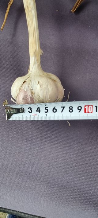 박산하님의 작성글 사진