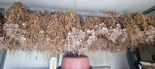 박산하님의 작성글 사진