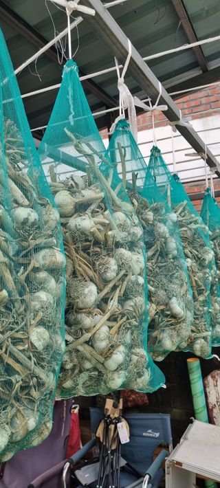 박산하님의 작성글 사진