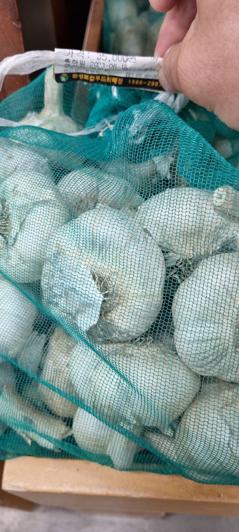 박산하님의 장터 판매 상품 [홍산마늘] 첨부 사진