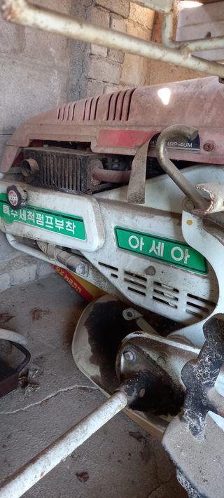 김대현(청솔)님의 작성글 사진