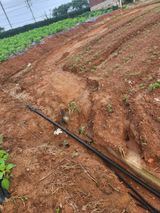 팜모닝 콩·자유게시판 게시글 이미지