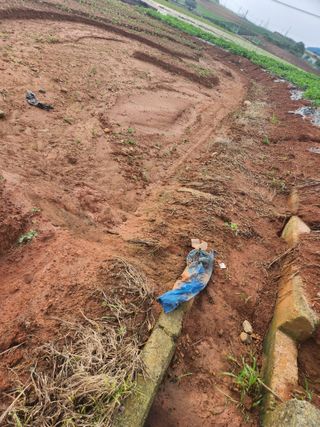 시골에 살어리랏다 님의 콩 · 자유게시판 작성글 사진