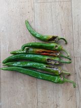 팜모닝 고추·병해충상담 게시글 이미지