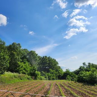 의성춘산~짱이요님의 장마 대비 어떻게 하셨나요? · 참여 작성글 사진