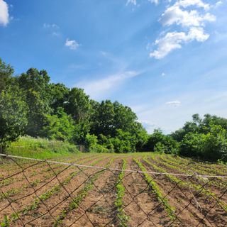 의성춘산~짱이요님의 장마 대비 어떻게 하셨나요? · 참여 작성글 사진