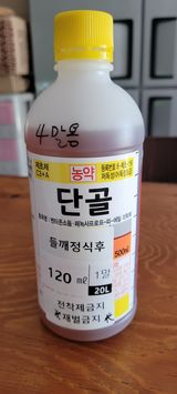 팜모닝 옥수수·영농일지 게시글 이미지