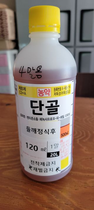 정상관님의 옥수수 · 영농일지 작성글 사진