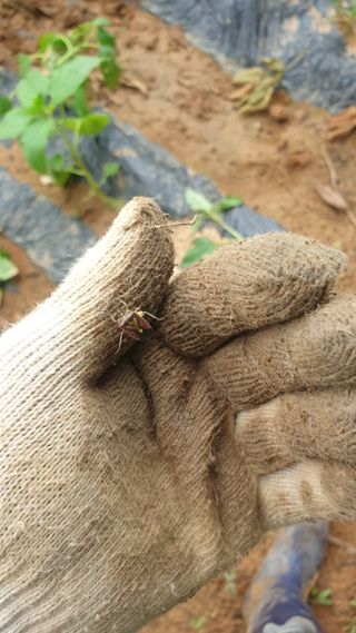 김준회님의 자유주제 · 자유게시판 작성글 사진