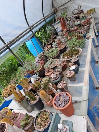 시골농부님의 자유주제 · 자유게시판 작성글 사진