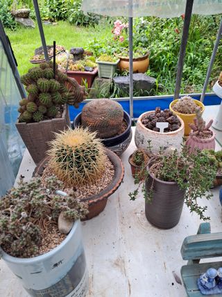 시골농부님의 자유주제 · 자유게시판 작성글 사진