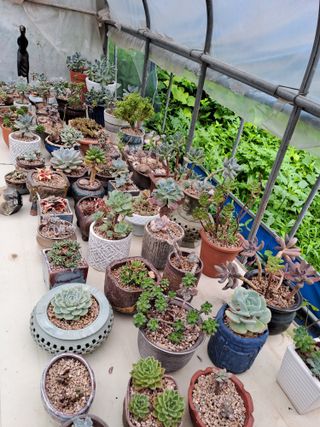 시골농부님의 자유주제 · 자유게시판 작성글 사진