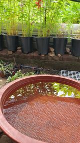 팜모닝 자유주제·사진전 게시글 이미지