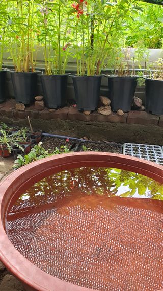 황의성님의 자유주제 · 사진전 작성글 사진