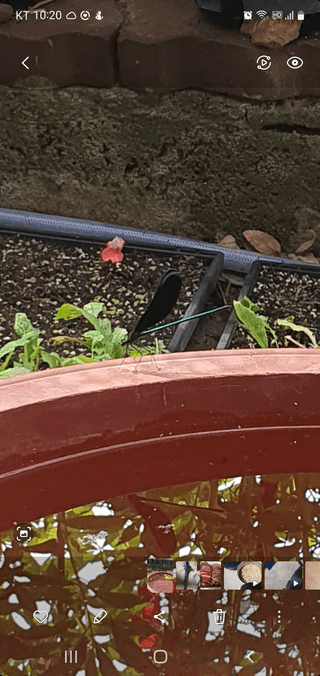 황의성님의 자유주제 · 사진전 작성글 사진