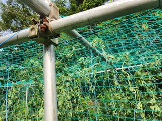 서원섭님의 자유주제 · 자유게시판 작성글 사진