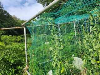 서원섭님의 자유주제 · 자유게시판 작성글 사진