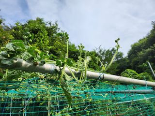 서원섭님의 자유주제 · 자유게시판 작성글 사진