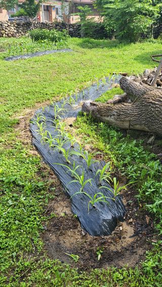 안계님의 자유주제 · 자유게시판 작성글 사진