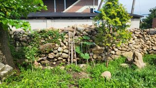 안계님의 자유주제 · 자유게시판 작성글 사진