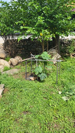 안계님의 자유주제 · 자유게시판 작성글 사진