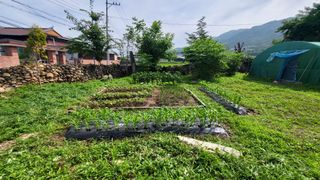 안계님의 자유주제 · 자유게시판 작성글 사진