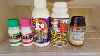 정금기님의 고추 · 일상 작성글 사진