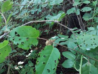 김봉호님의 작성글 사진