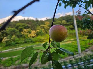 김용석님의 장마 대비 어떻게 하셨나요? · 참여 작성글 사진