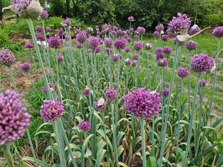 김용석님의 장마 대비 어떻게 하셨나요? · 참여 작성글 사진