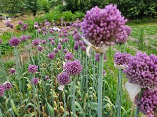 김용석님의 장마 대비 어떻게 하셨나요? · 참여 작성글 사진
