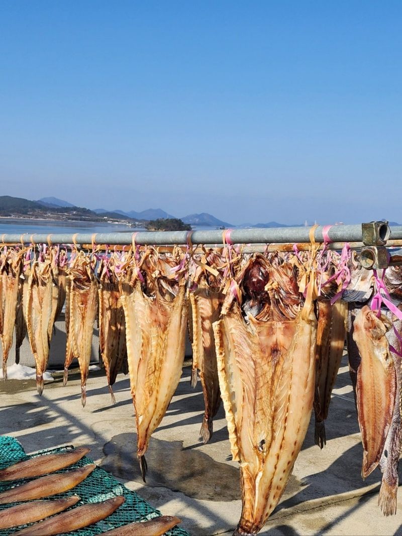 장터 상품 [지도 직송 반건조 민어 건정] 썸네일