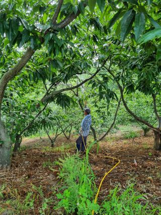 그린1505님의 기타작물 · 자유게시판 작성글 사진