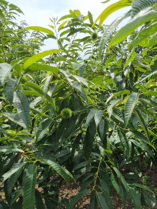 그린1505님의 기타작물 · 자유게시판 작성글 사진