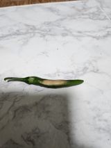 팜모닝 고추·병해충상담 게시글 이미지