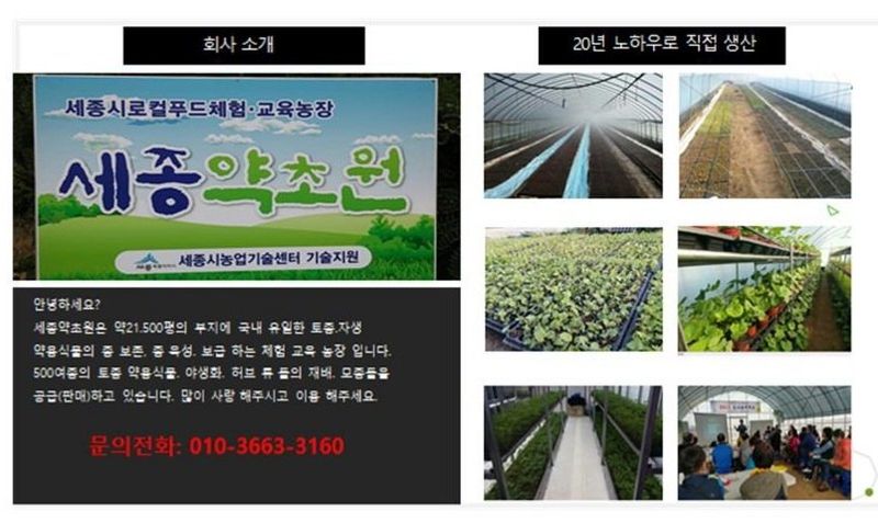 장터 상품 [두메부추 1kg단위 무료배송] 썸네일