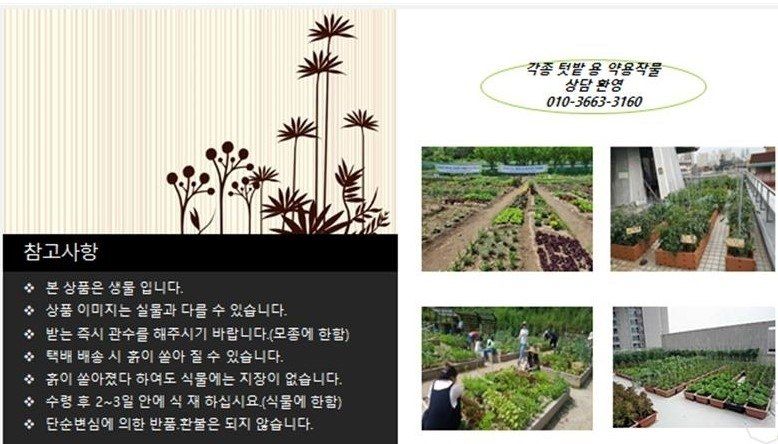 약초원 김종군님의 장터 판매 상품 [두메부추 1kg단위 무료배송] 첨부 사진