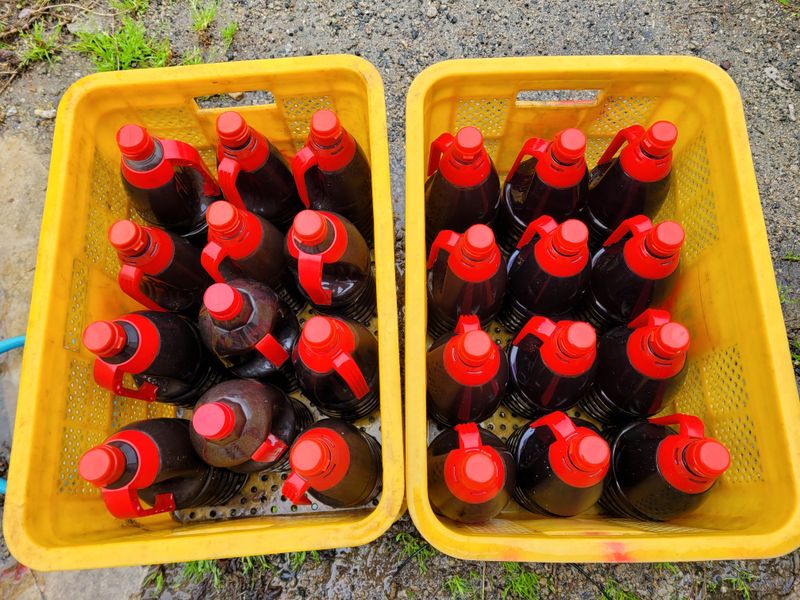 독고다이님의 장터 판매 상품 [유기농 3년숙성  감식초 원액] 첨부 사진