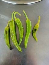 팜모닝 고추·병해충상담 게시글 이미지