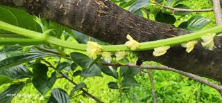 송곡손병국님의 자유주제 · 자유게시판 작성글 사진